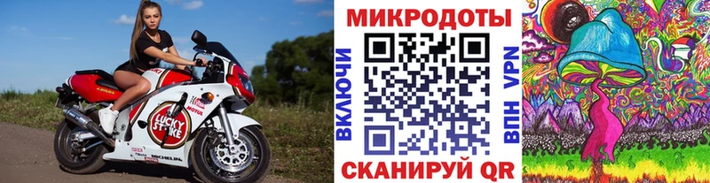 Псилоцибиновые грибы Psilocybine cubensis  Заволжск 